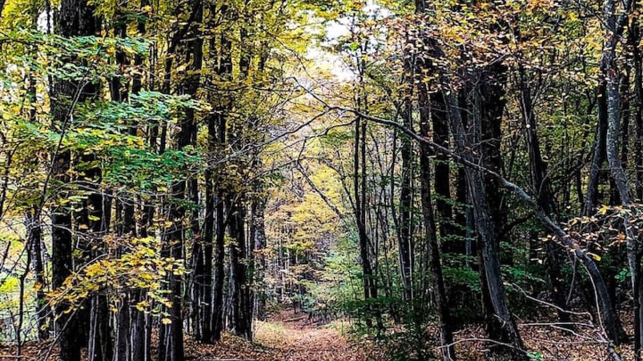 Photo of Others in Bloomville