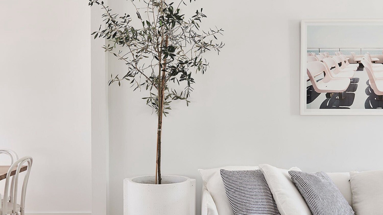 Photo of Livingroom in Barwon Heads