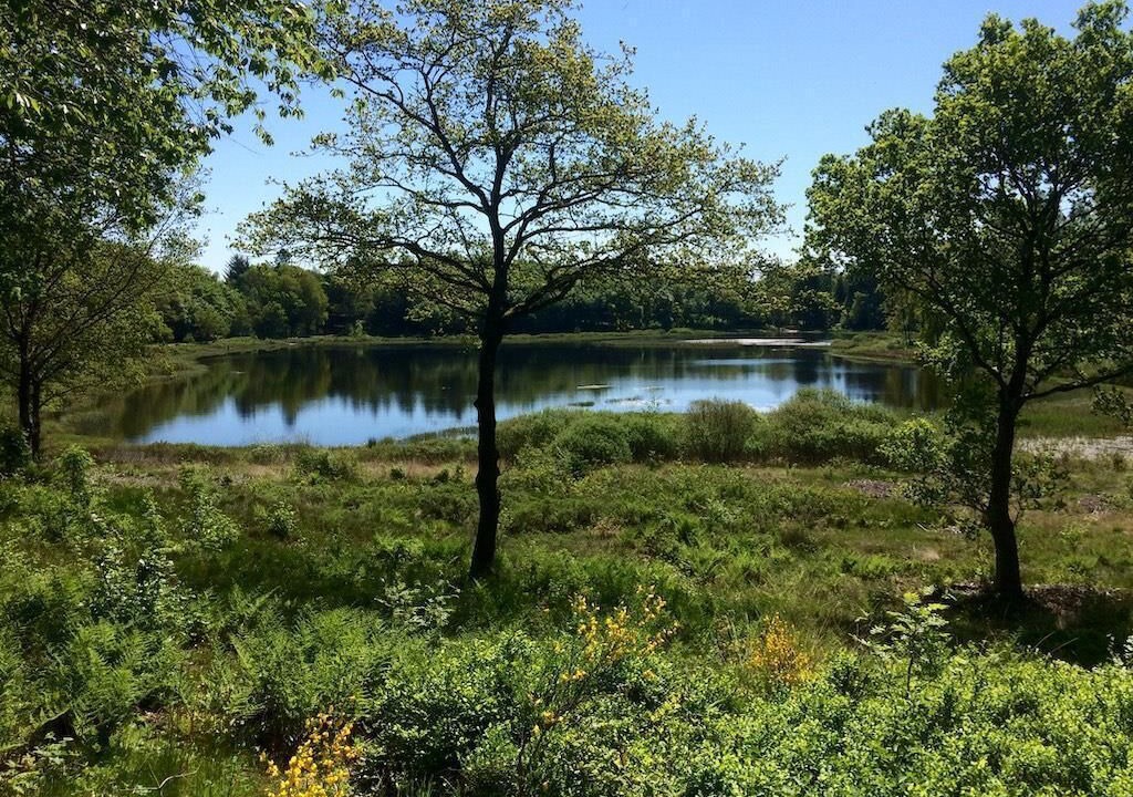 Photo of Outdoor in Aars
