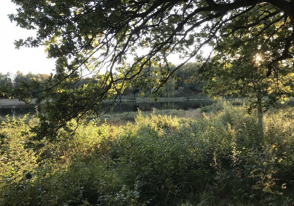 Photo of Outdoor in Aars
