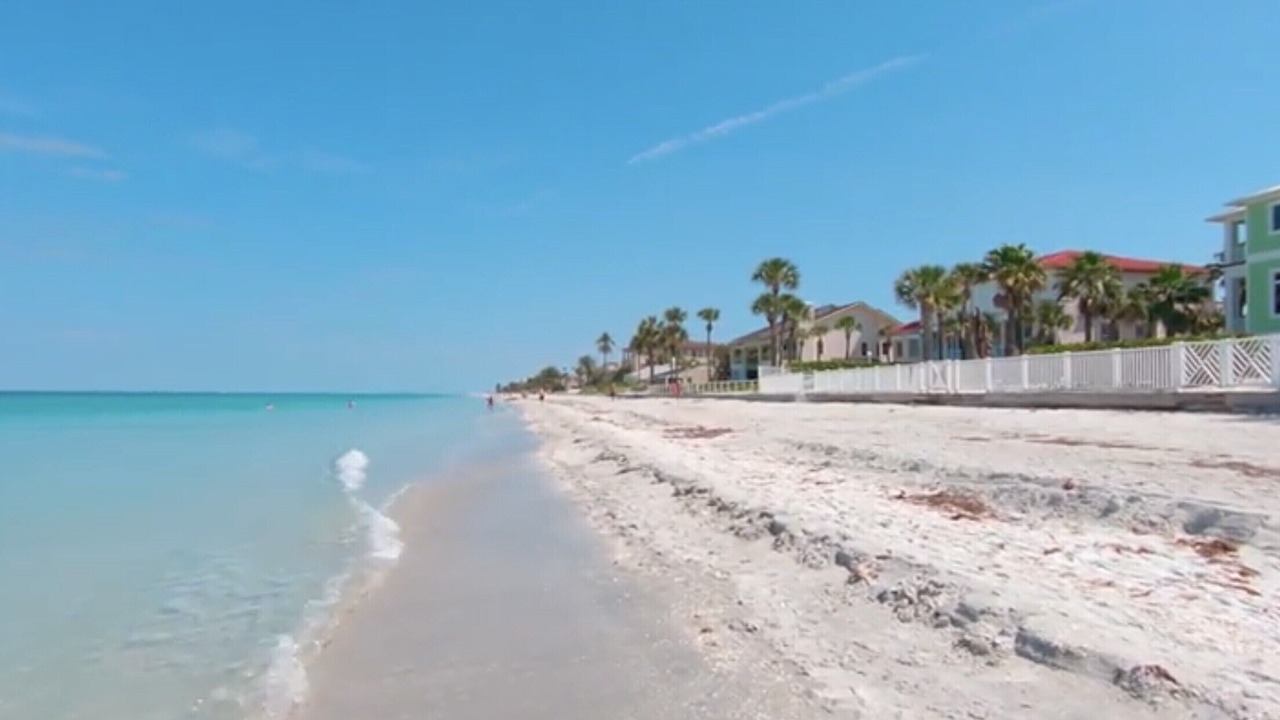 Photo of Others in Belleair Beach