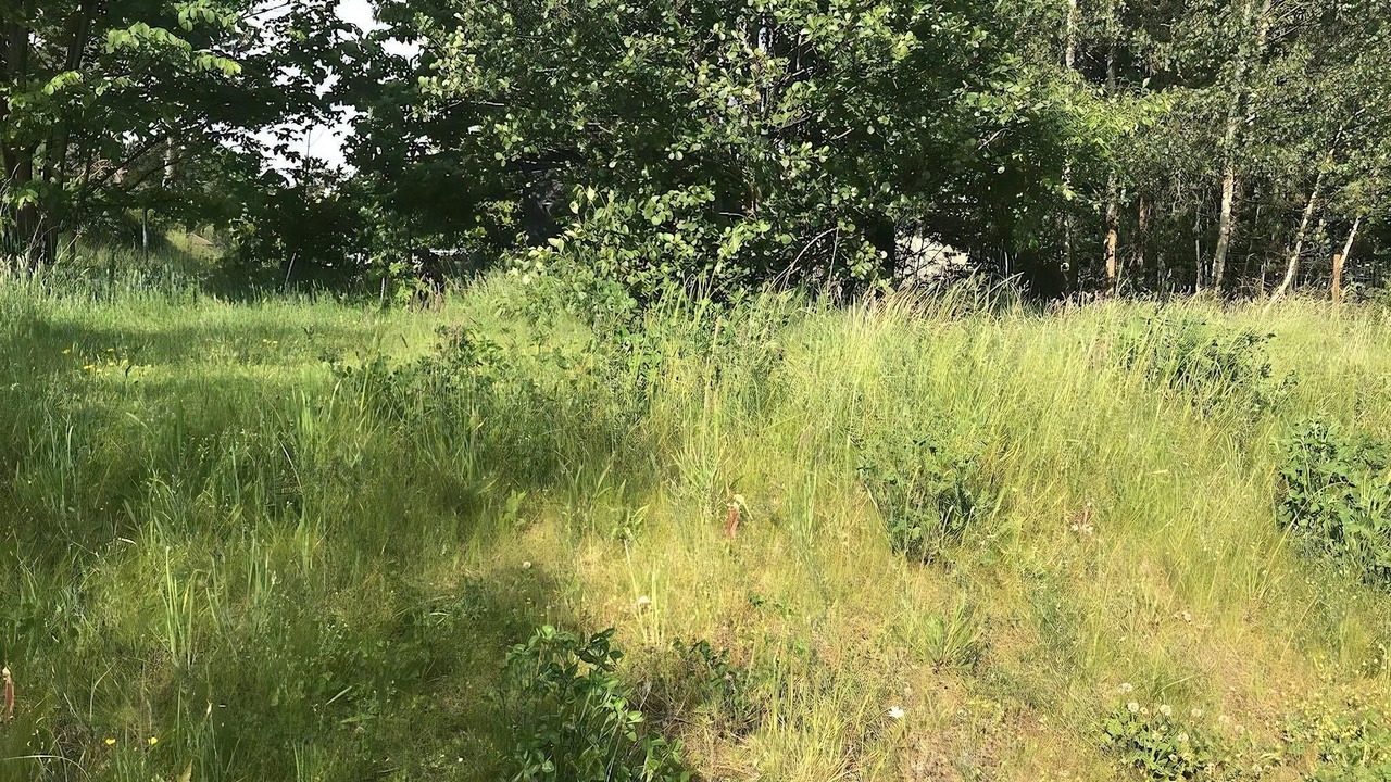 Photo of Others in Hundested