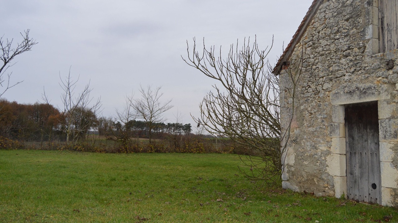 Photo of Outdoor in Sauzelles