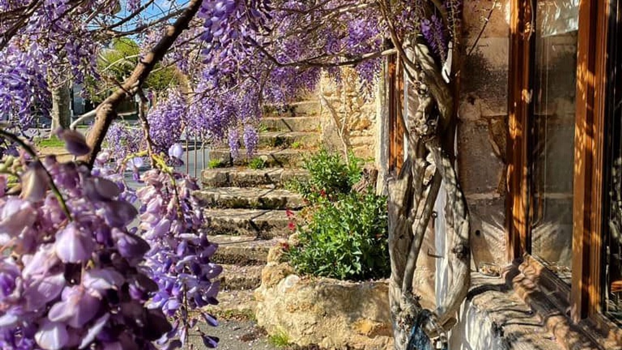 Photo of Outdoor in Le Menoux