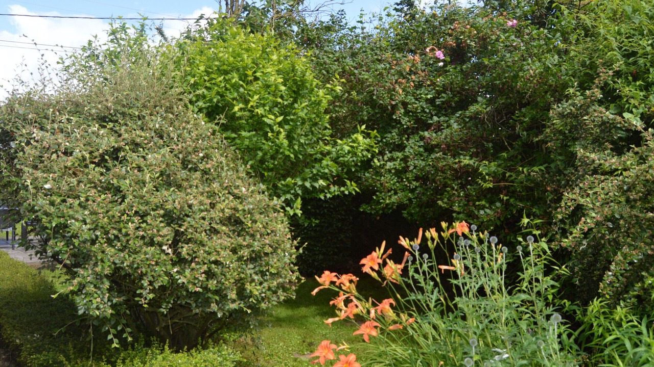 Photo of Outdoor in Poulaines
