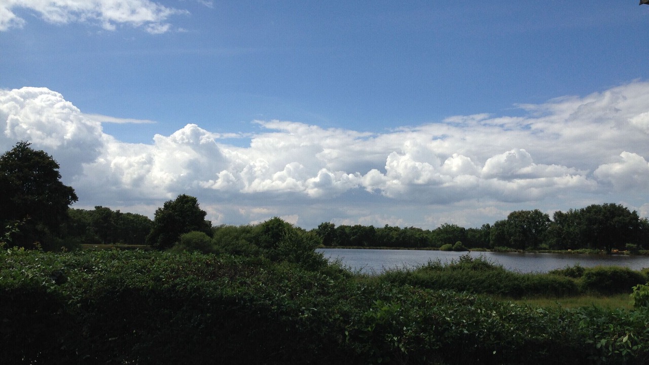 Photo of Others in Mezieres-en-Brenne