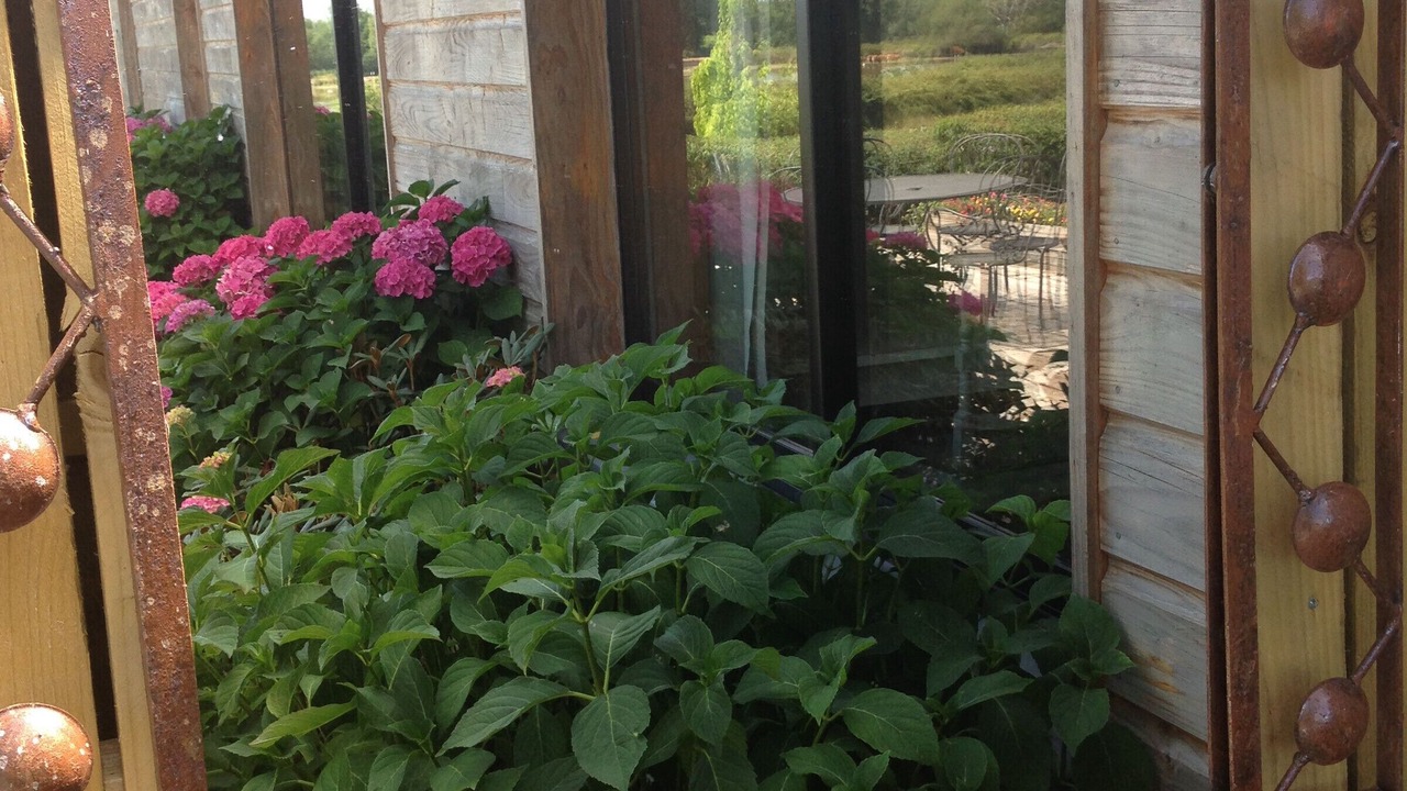 Photo of Outdoor in Mezieres-en-Brenne