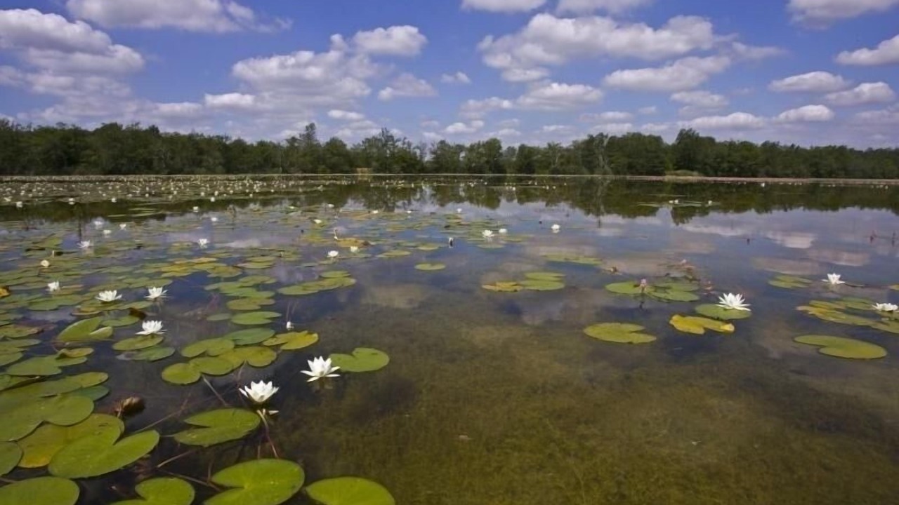 Photo of Outdoor in Linge