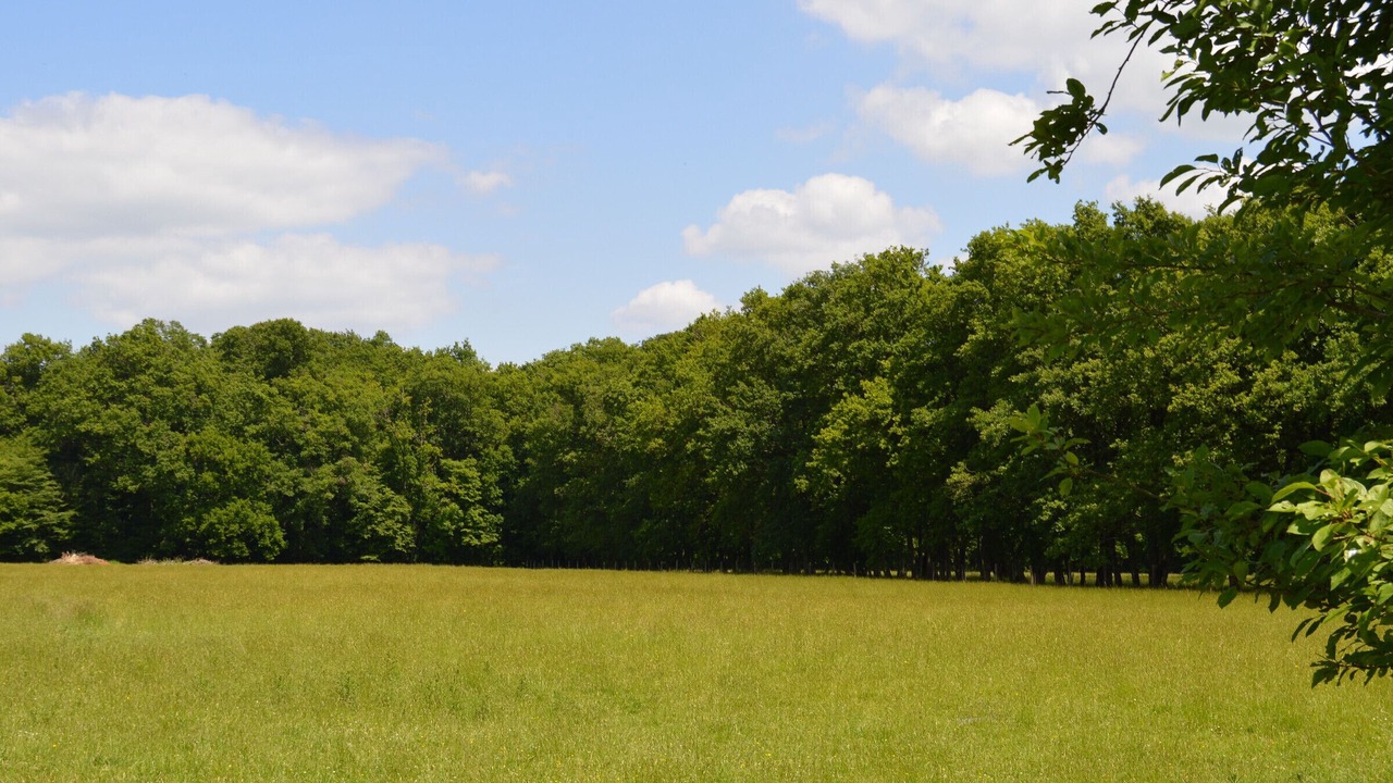 Photo of Others in Mouhers