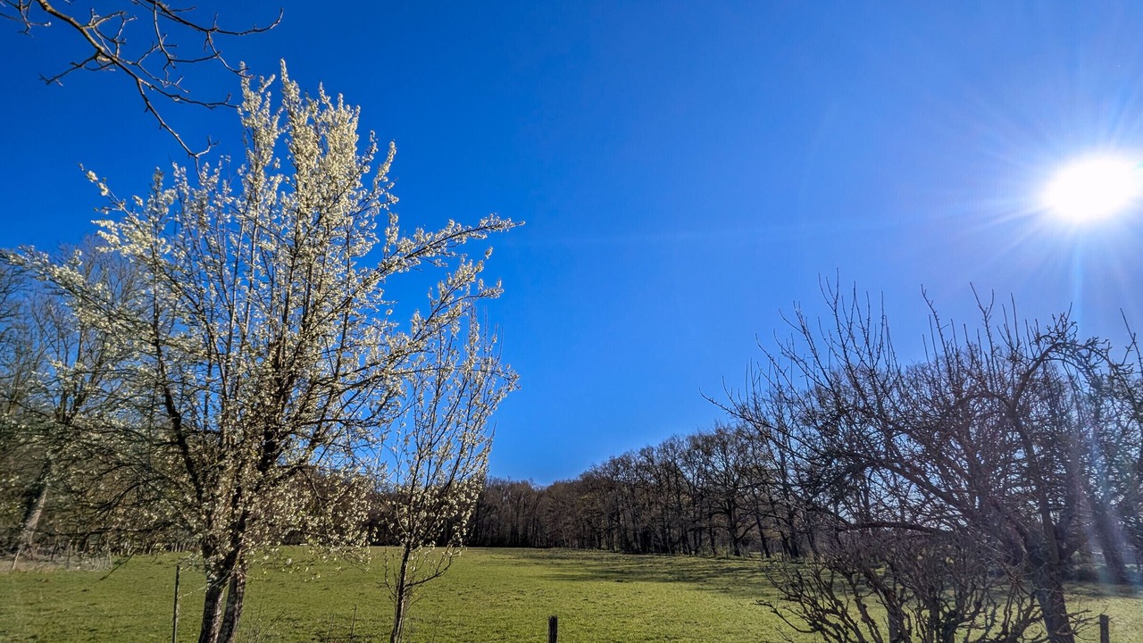 Photo of Others in Mouhers