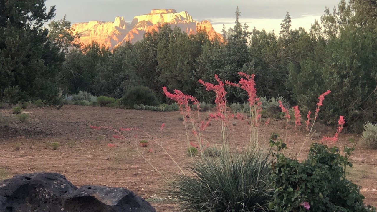 Photo of Outdoor in Apple Valley