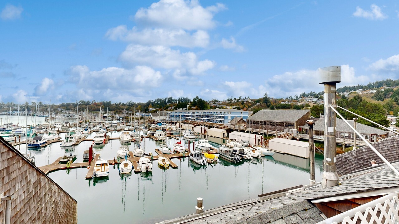 Photo of Others in Historic Bayfront