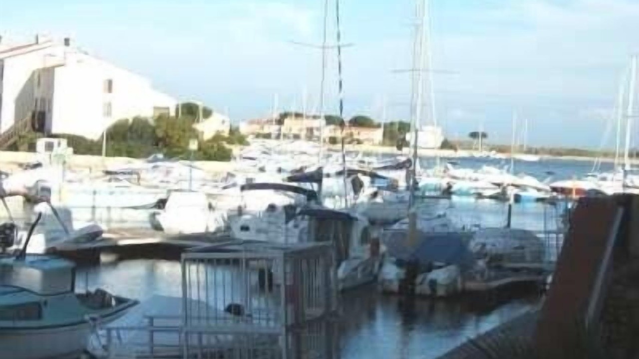 Photo of Others in Saint-Cyprien