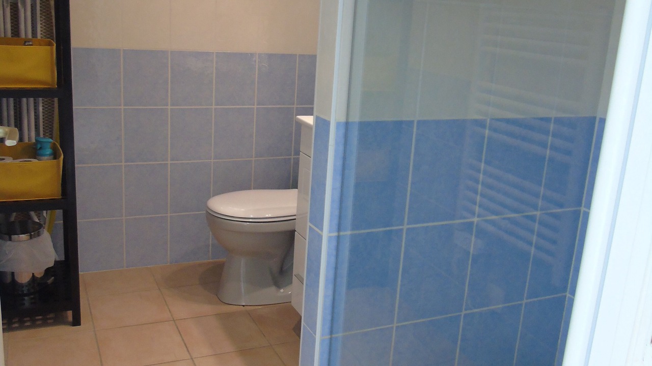 Photo of Bathroom in Bois-de-Cene