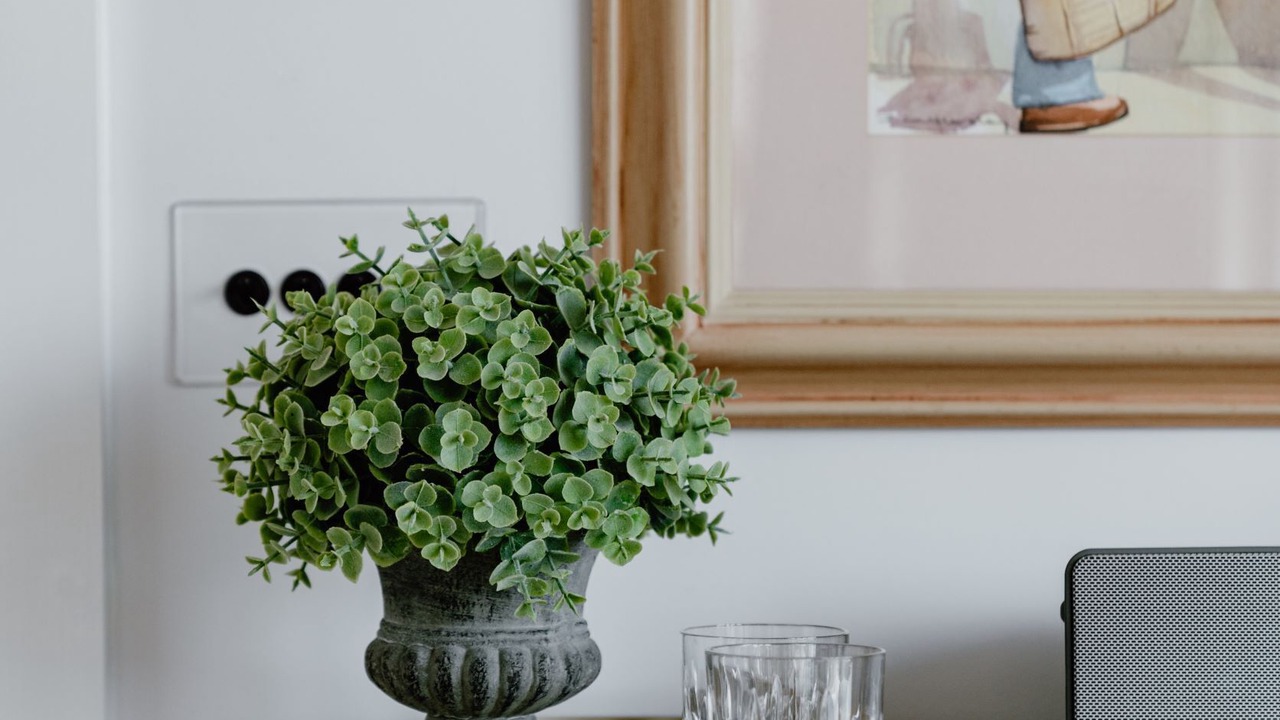 Photo of Others in Croyde