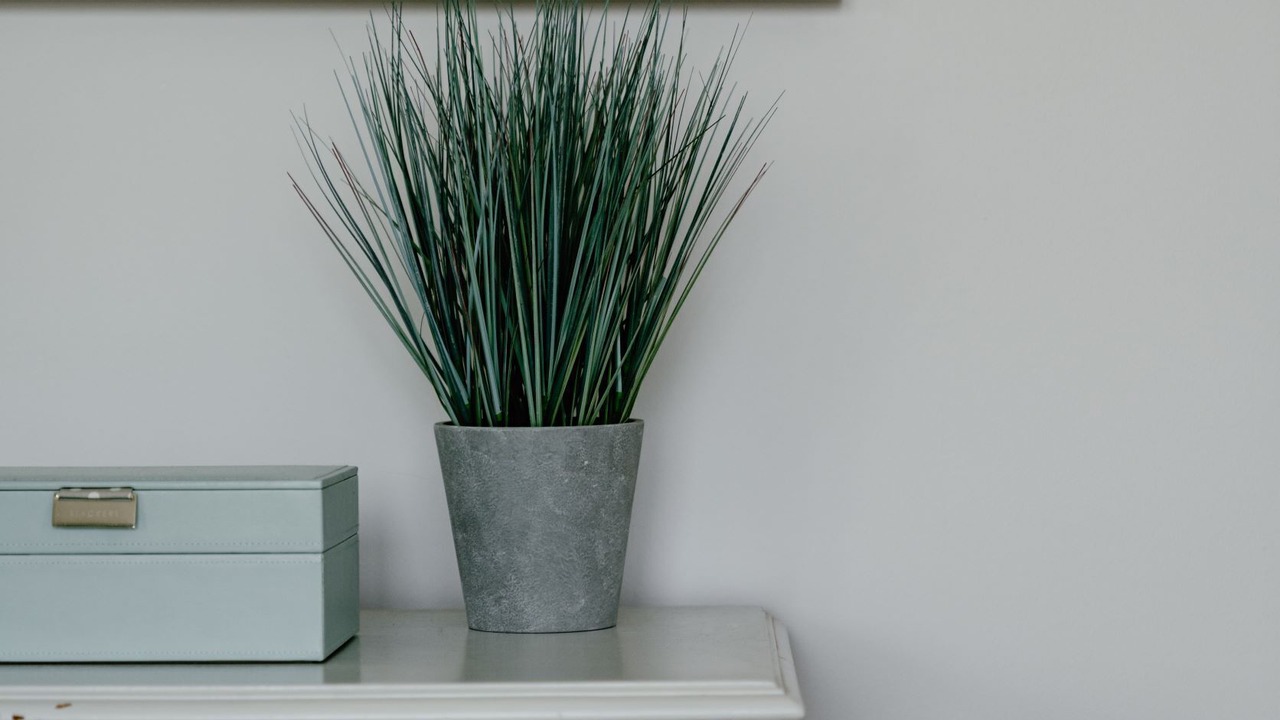 Photo of Others in Croyde