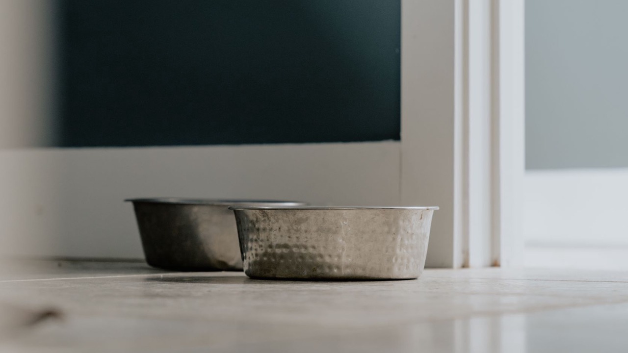 Photo of Others in Croyde