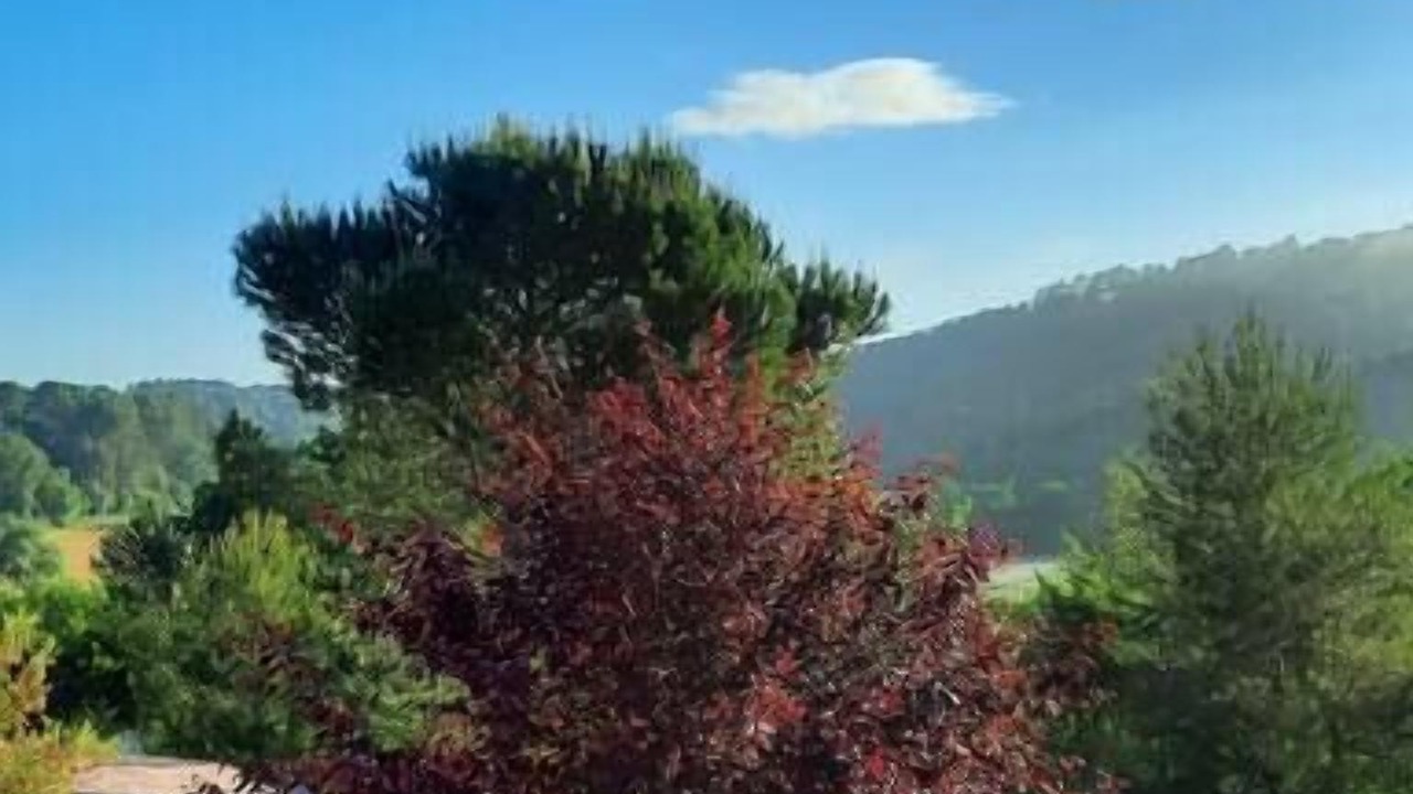 Photo of Others in Bras