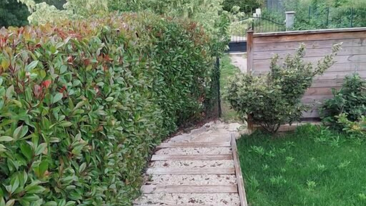 Photo of Outdoor in Bras