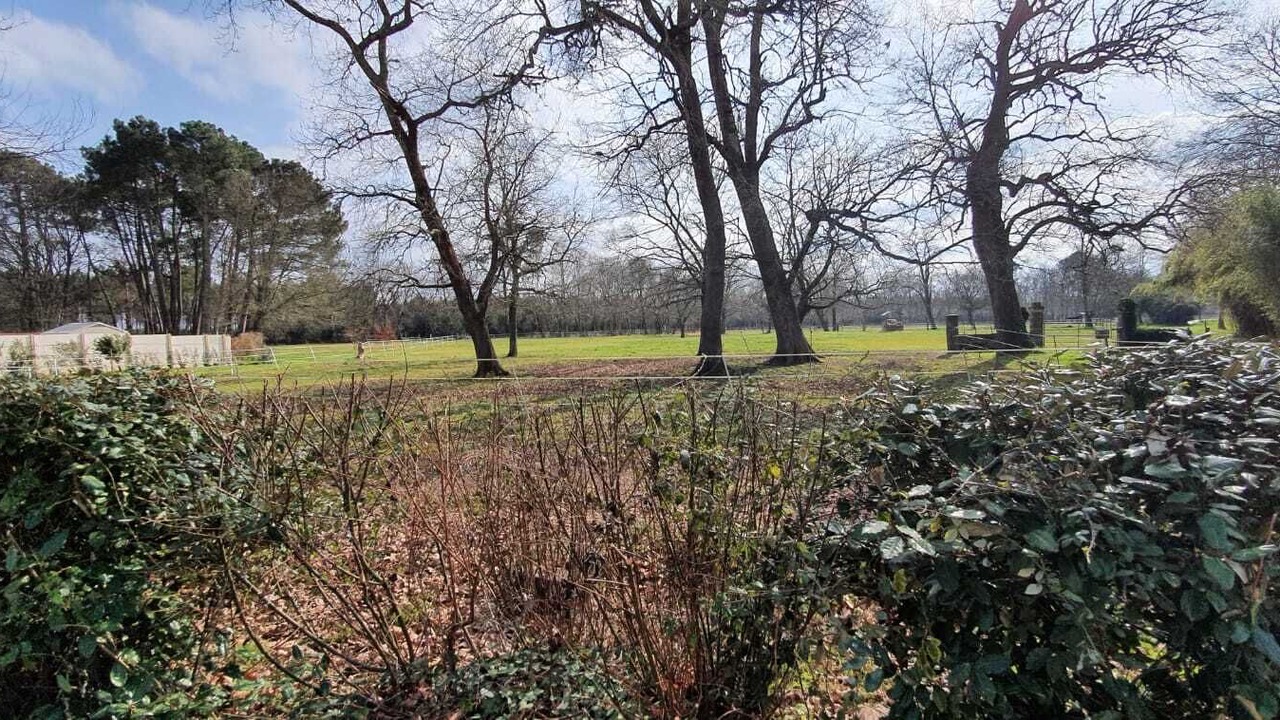 Photo of Outdoor in Sainte-Eulalie-en-Born