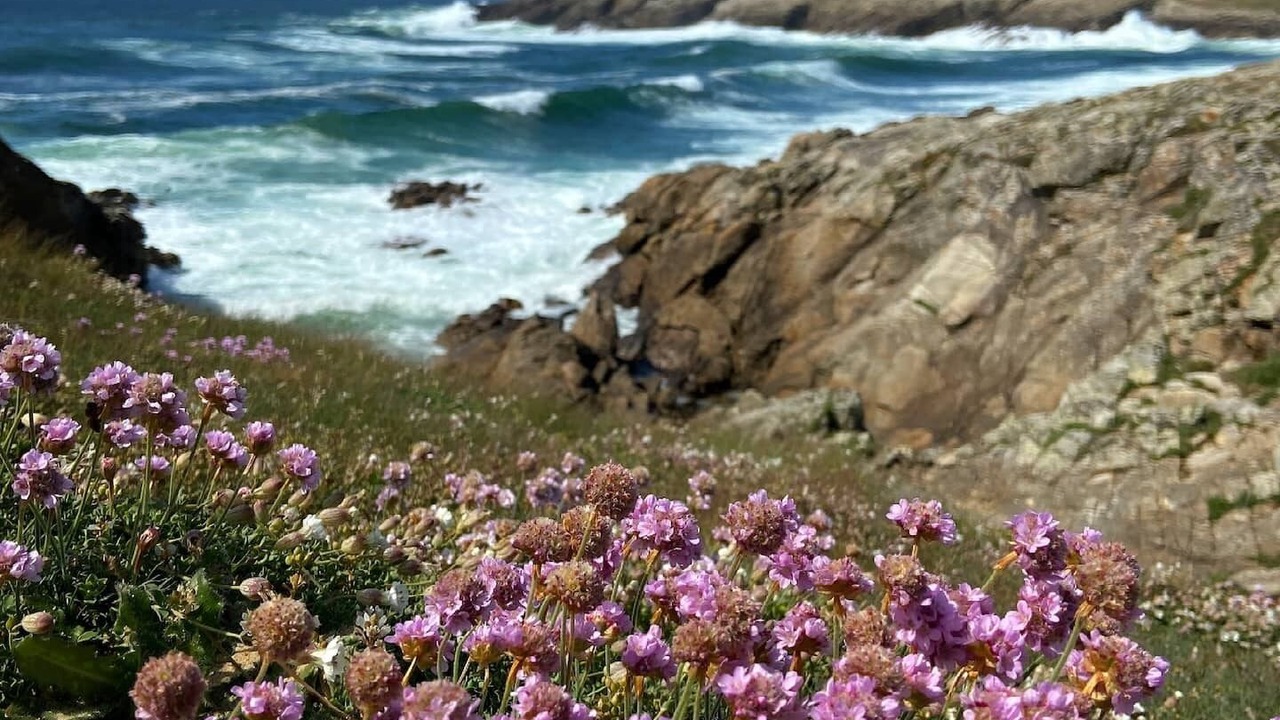 Photo of Others in Erdeven