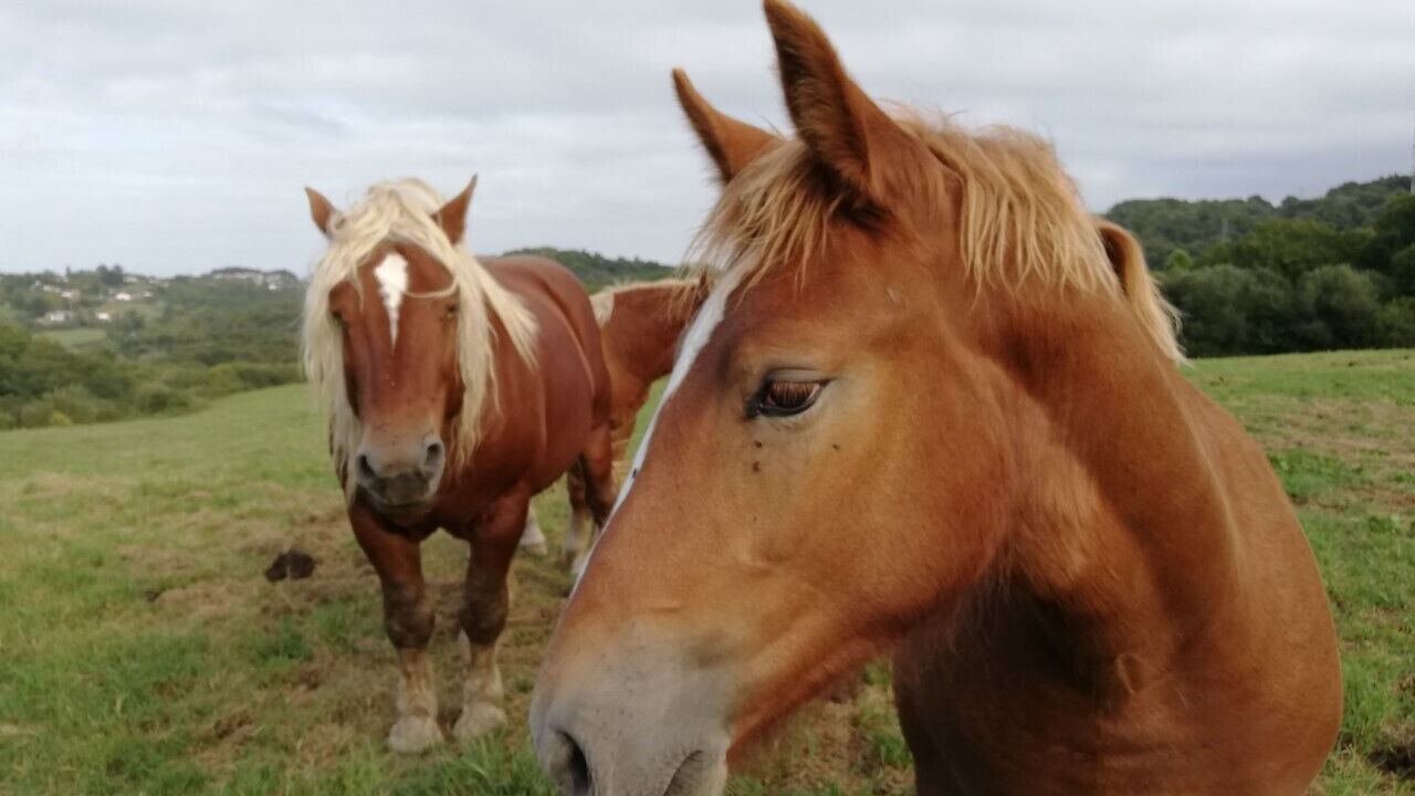 Photo of Outdoor in Saint-Pierre-d'Irube
