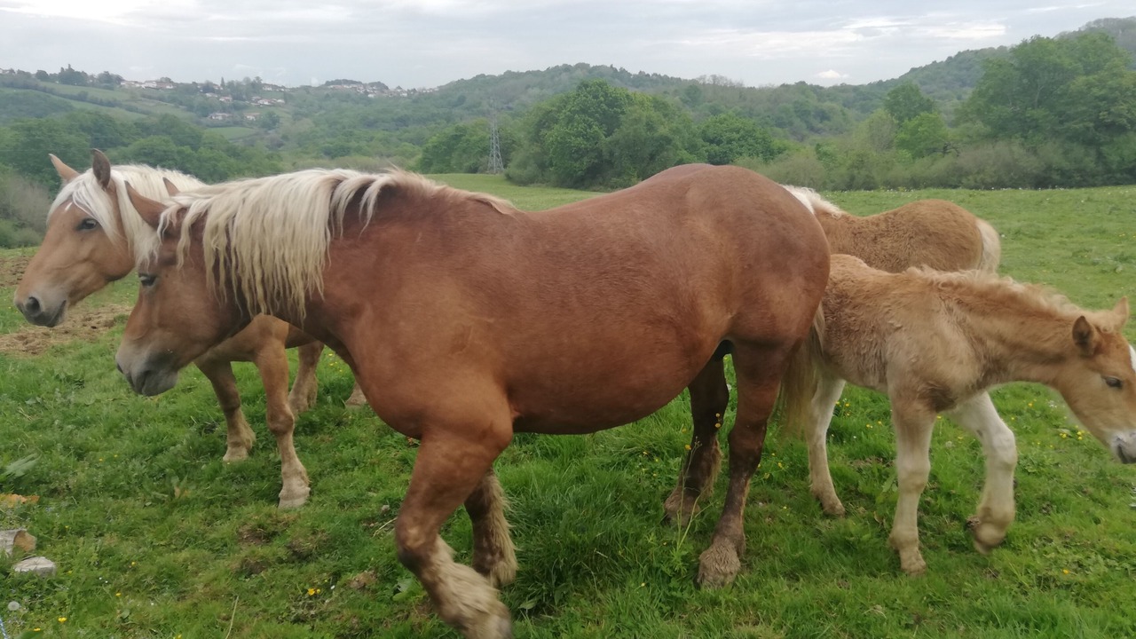 Photo of Outdoor in Saint-Pierre-d'Irube