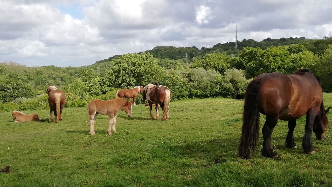 Photo of Outdoor in Saint-Pierre-d'Irube