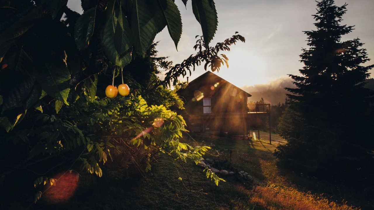 Photo of Outdoor in Port Angeles