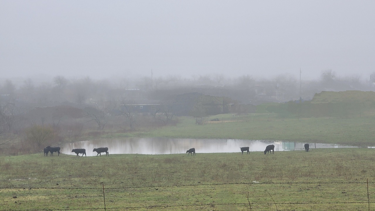 Photo of Others in Del Valle