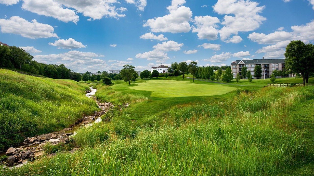 Photo of Others in Branson