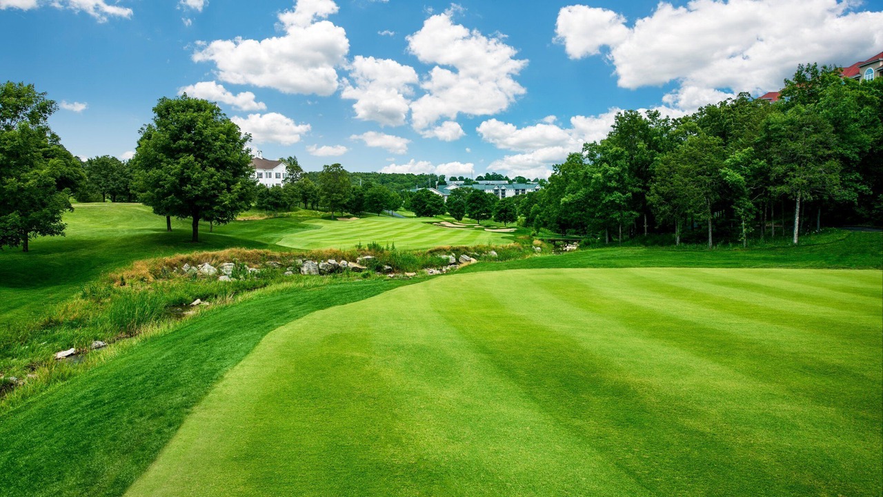 Photo of Others in Branson