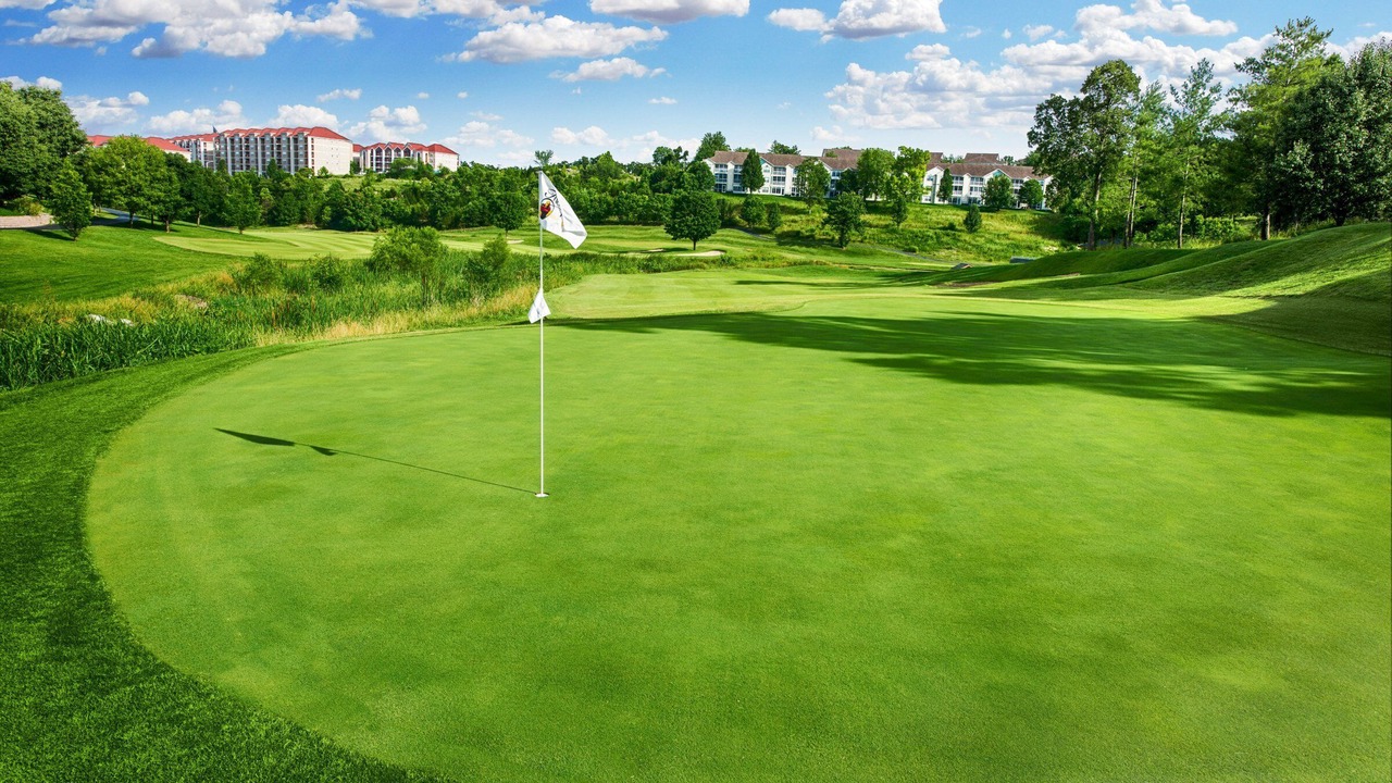 Photo of Others in Branson