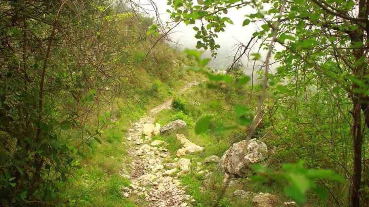 Photo of Outdoor in Callosa d' En Sarria