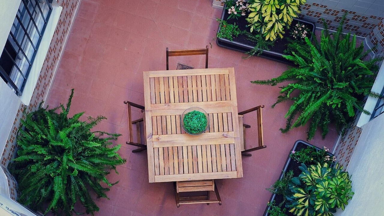 Photo of Outdoor in Callosa d' En Sarria