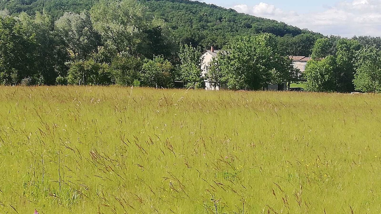 Photo of Outdoor in La Touche