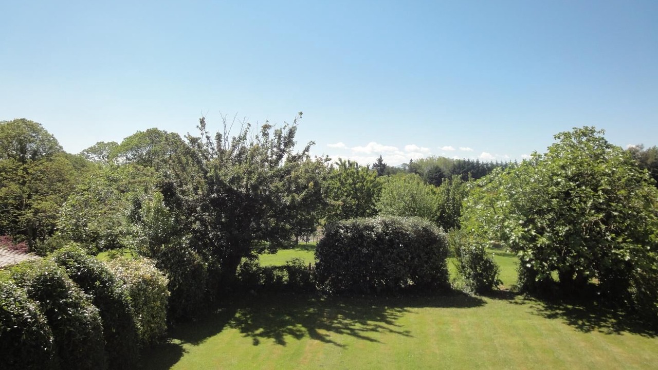 Photo of Outdoor in Jurancon