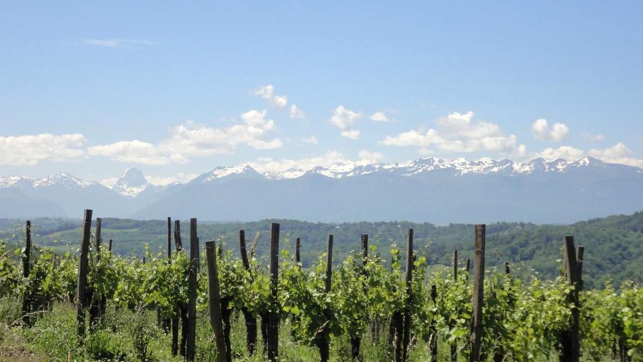 Photo of Others in Jurancon