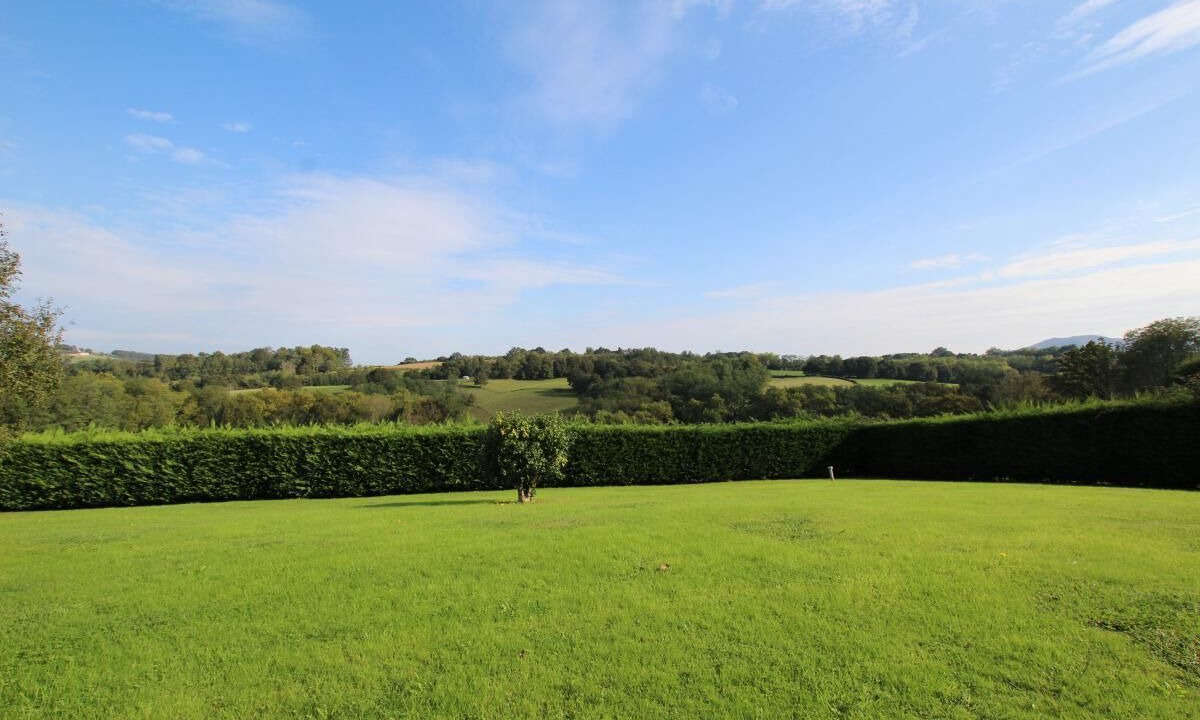 Photo of Outdoor in Sare