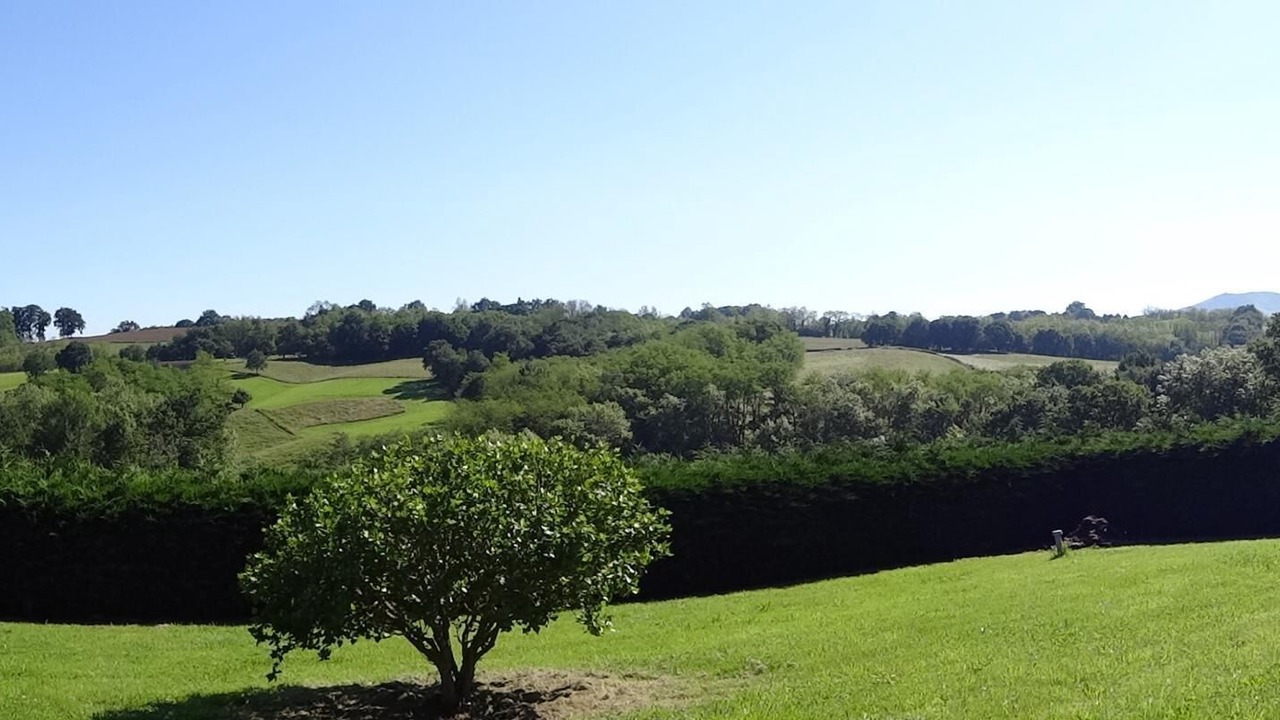 Photo of Outdoor in Sare