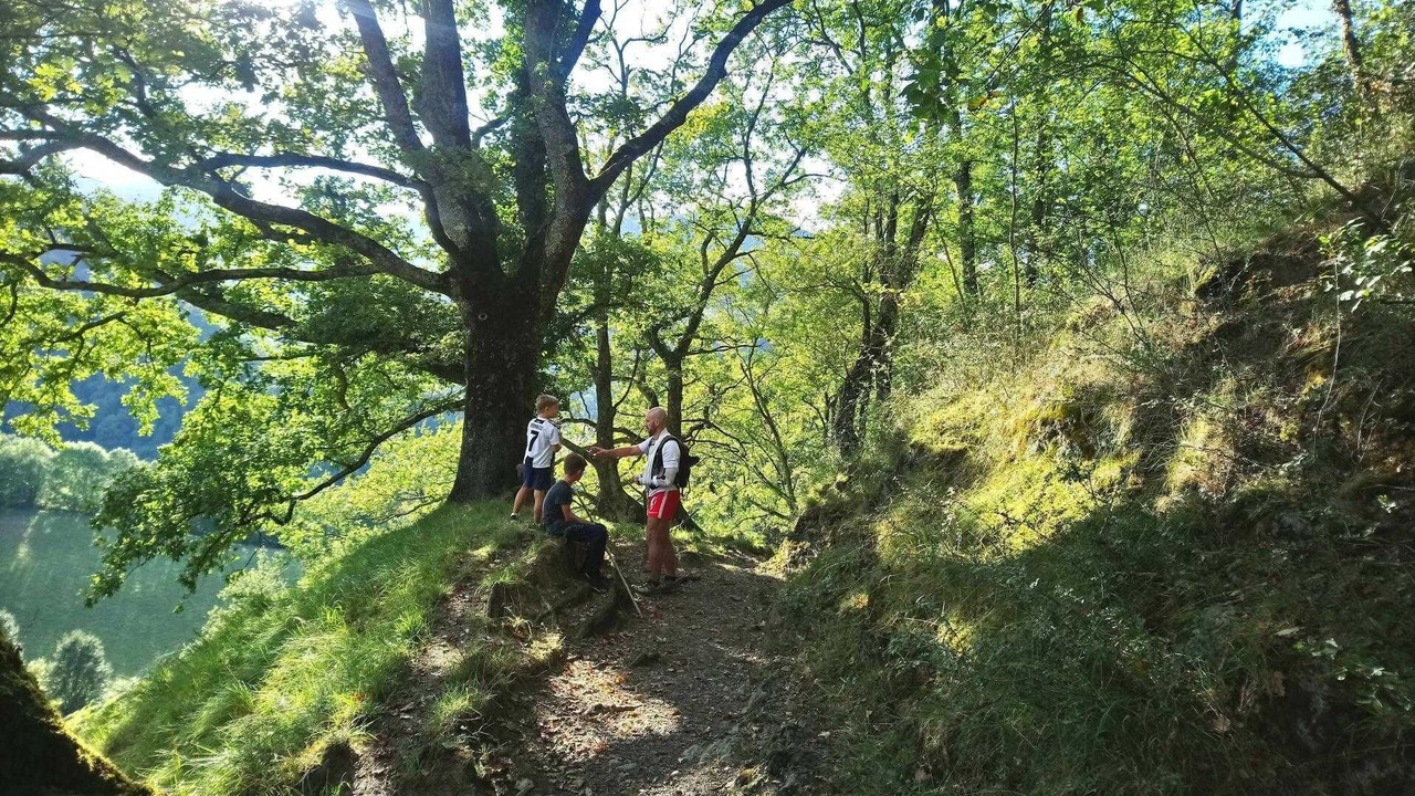 Photo of Others in Lacarry-Arhan-Charritte-de-Haut