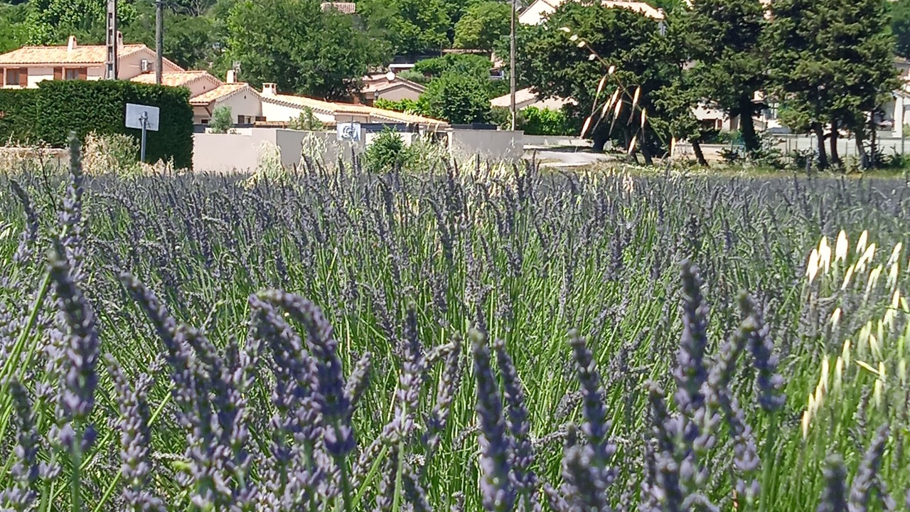 Photo of Outdoor in Roussas