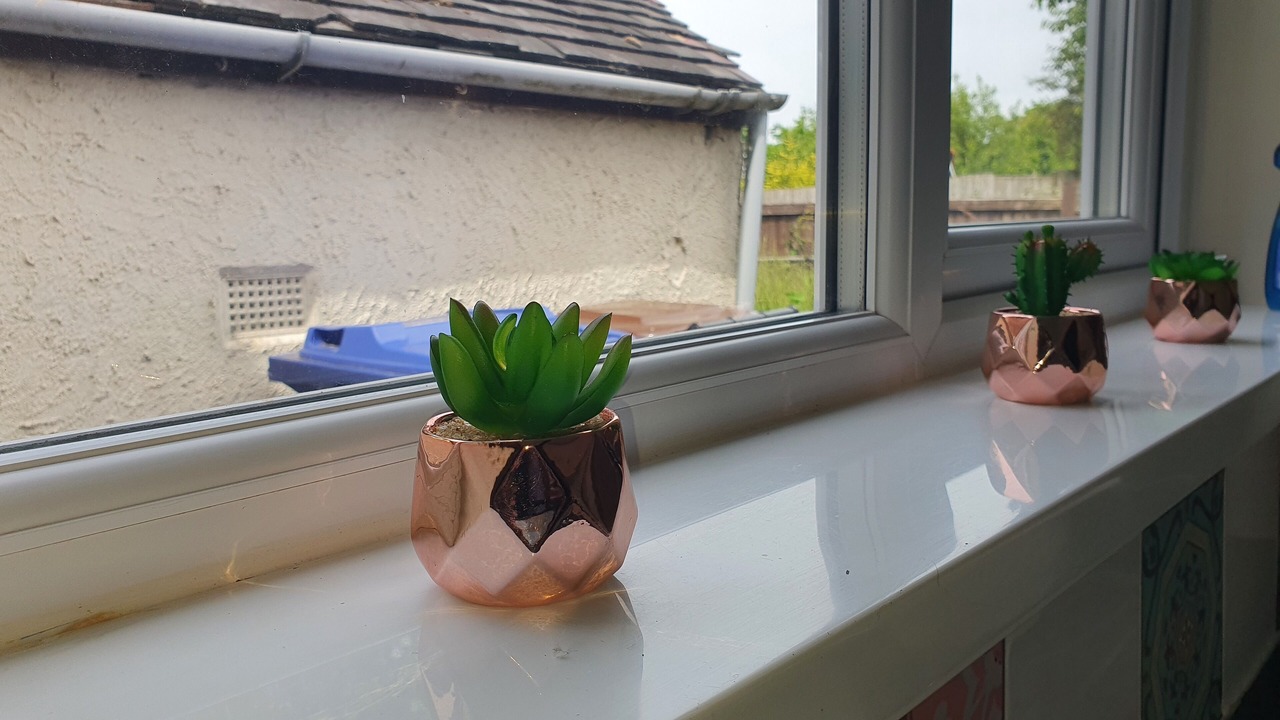 Photo of Others in Alsagers Bank