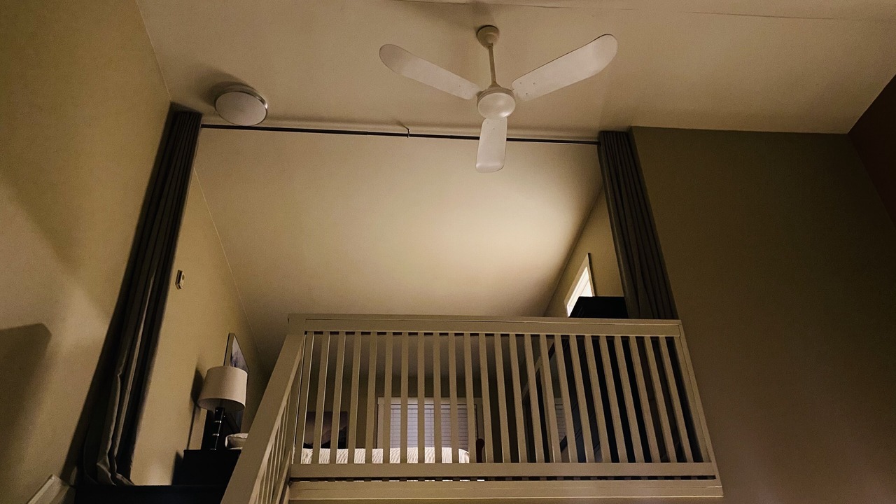 Photo of Others in Collingwood