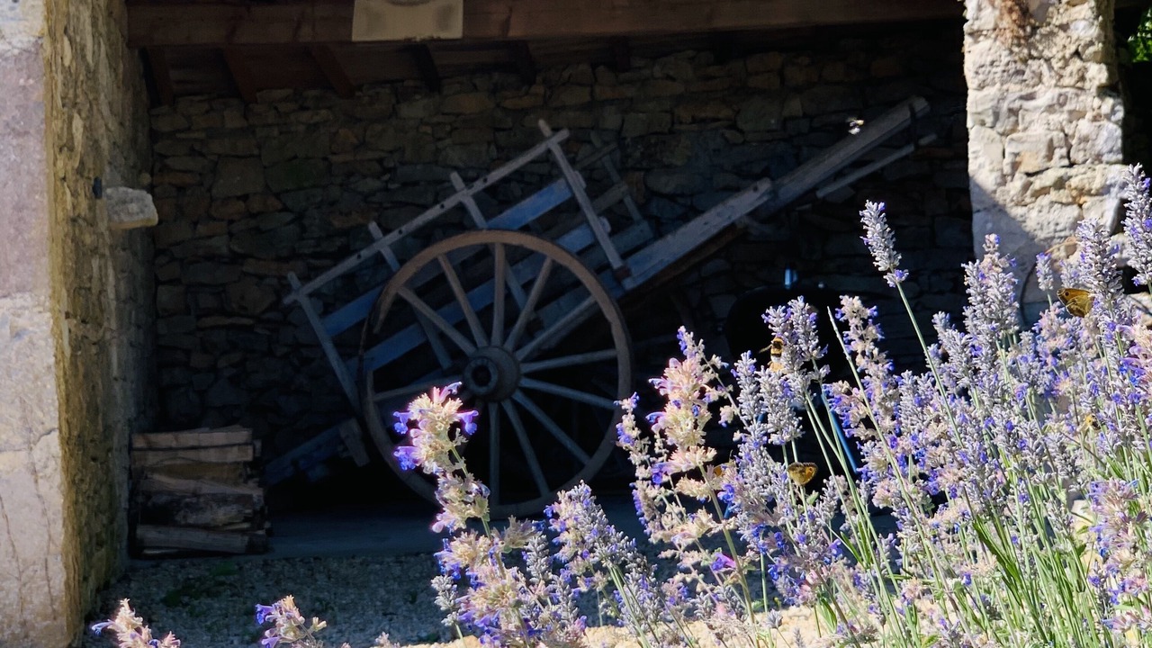 Photo of Outdoor in Saint-Antonin Noble Val