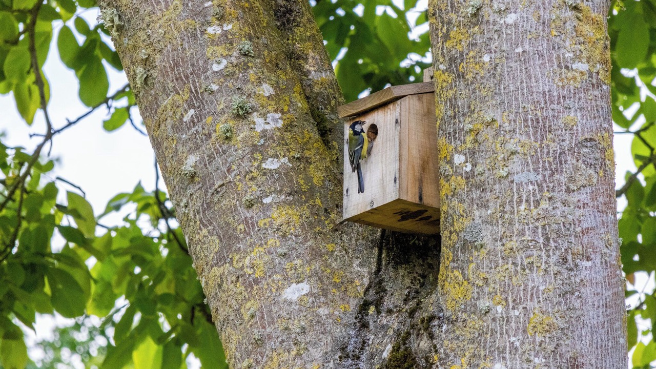 Photo of Others in Corseul