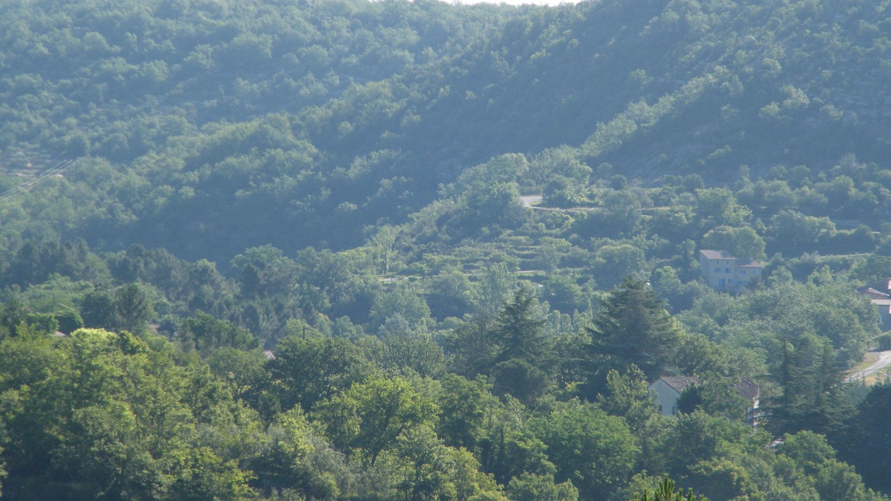 Photo of Outdoor in Chassagnes