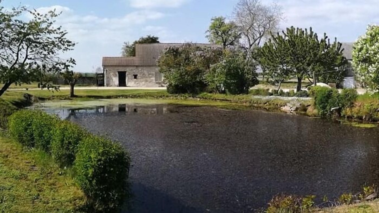 Photo of Outdoor in Azay-le-Ferron