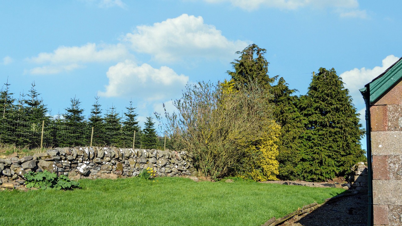 Photo of Outdoor in Murthly