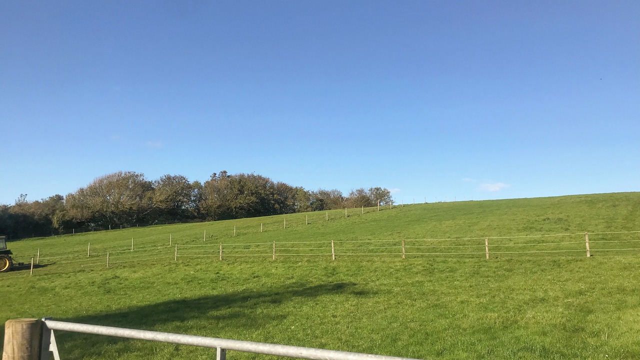 Photo of Others in Ventnor